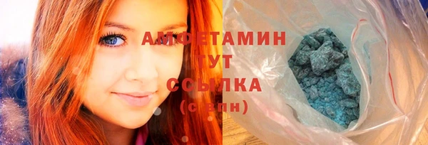 дживик Богородск