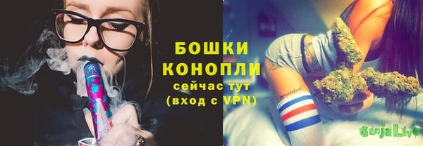 дживик Богородск