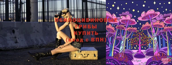метадон Бородино